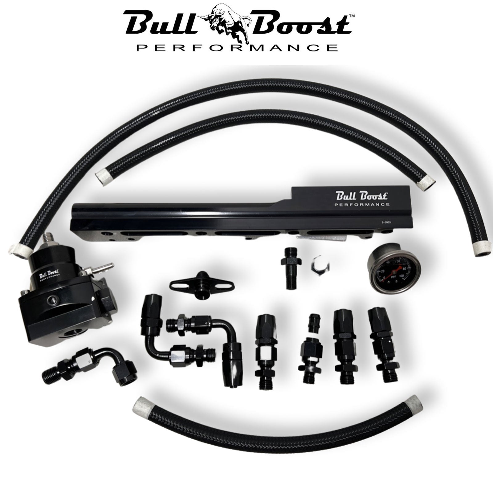 D Series Fuel Rail Civic SOHC Skunk2 Manifold FPR Gauge Line Hose D15 D16 D17