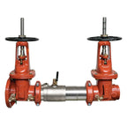 Ames Colt Series Double Check Valve Assembly for Fire Protection