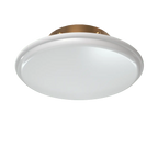 Cleanroom Cover Assembly Thread On For Concealed Sprinklers