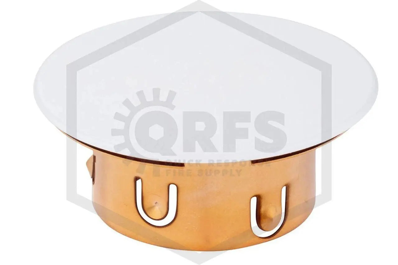 Cover Plate Assembly Malleable Iron Painted White 139F