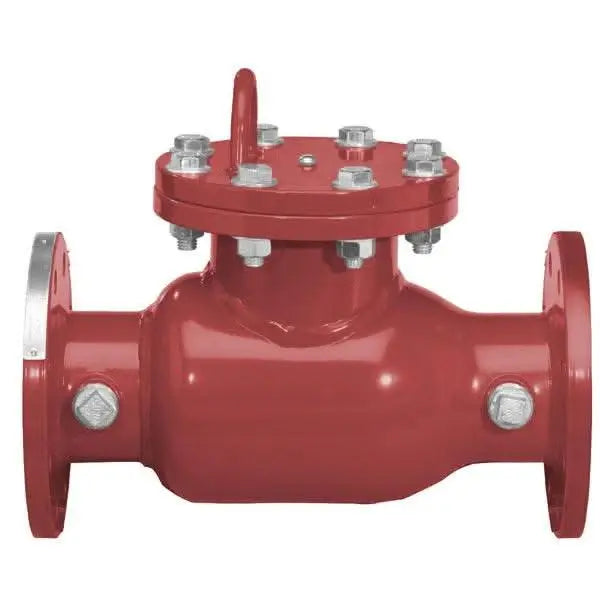 Detector Check Valve 1000DCV