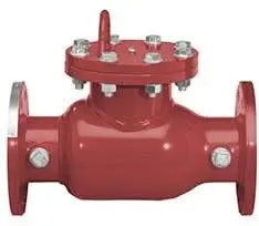 Detector Check Valve 1000DCV