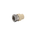 CPVC/SS TRANSITION ADAPTER,Adapter