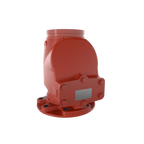 Easy Riser Swing Check Valve Model E-1 F-1 for Fire Systems