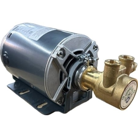 RotVanePmp,3/8"Dia,Brass,140 gph,1/3 hp