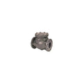 Flanged Swing Check Valve for Backflow Prevention System