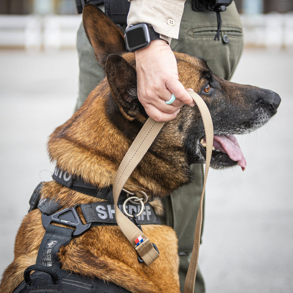 High Speed Gear High Speed Bonito 15 Feet Tracking Lead - K-9