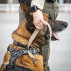 High Speed Gear High Speed Bonito 15 Feet Tracking Lead - K-9