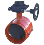 Grooved Butterfly Valve With Switch 2" Extended Length
