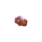 Grooved Swing Check Valve UL FM 1/2" NPT for Easy Use