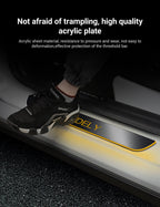 LED Colorful Lights Illuminated Door Sills for Tesla Model Y/3/S/X