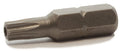 T20 x 1 Tamper Resistant Torx Insert Bit (1/4 Hex)