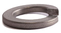 M16 Split Lockwasher A2 (18-8 SS)