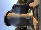 NIBCO Flanged Check Valve F908W for Fire System Safety
