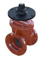 Resilient Wedge NRS Gate Valve for Reliable Performance