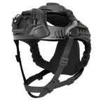 Skull Mounting System