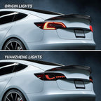 TESERY Dragon Scale Tail Lights for Model 3/Y