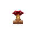 Threaded Bronze Globe Valve for Pressure Control 1/4" to 2"