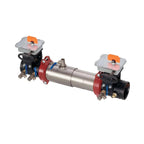 Watts 6" DCDA with Grooved Butterfly Valves Fire Protection Valve